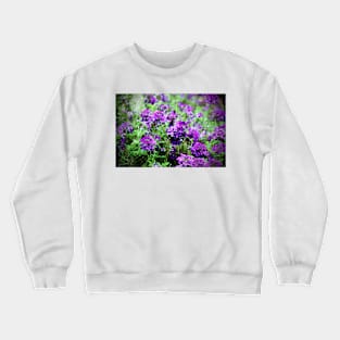 Purple Verbena Crewneck Sweatshirt